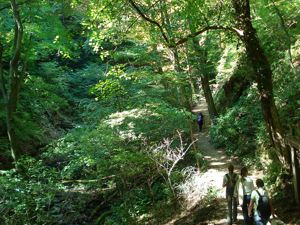 Medvednica Nature Park